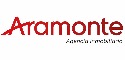 Grupo aramonte