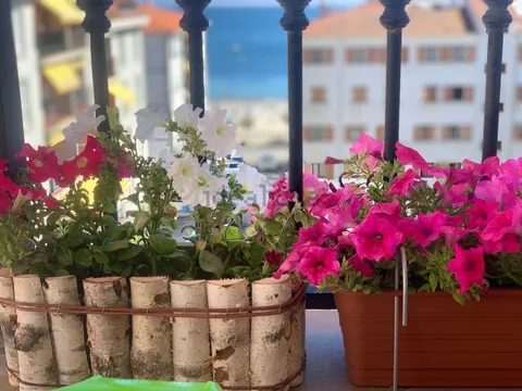 Pis de 90 m² a Sanxenxo (2/26)