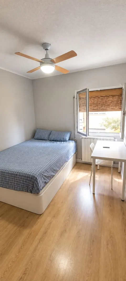 Room for rent, Madrid