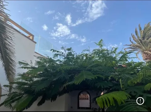 Habitació de lloguer, La Oliva