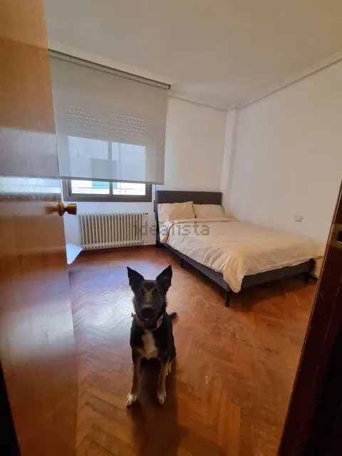 Кімната в оренду, Madrid