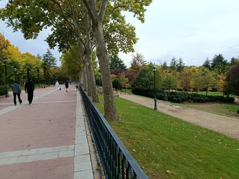 Habitació de lloguer, Valladolid