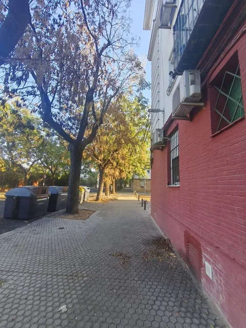 Habitació de lloguer, Sevilla