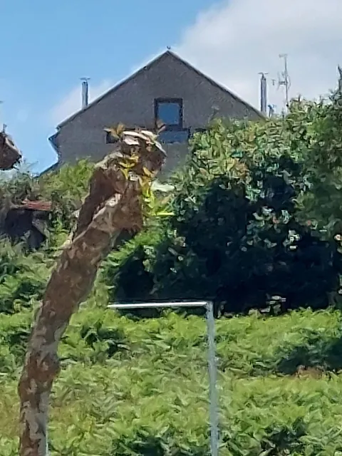 Habitació de lloguer, Vigo