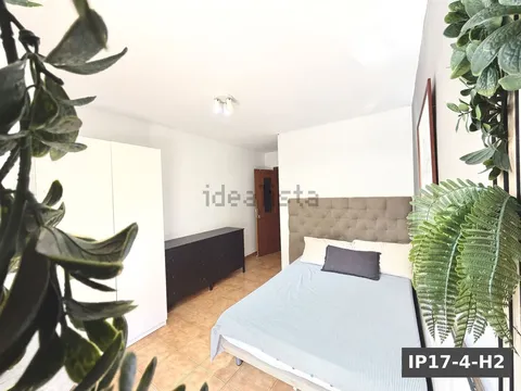 Habitació de lloguer, Palma