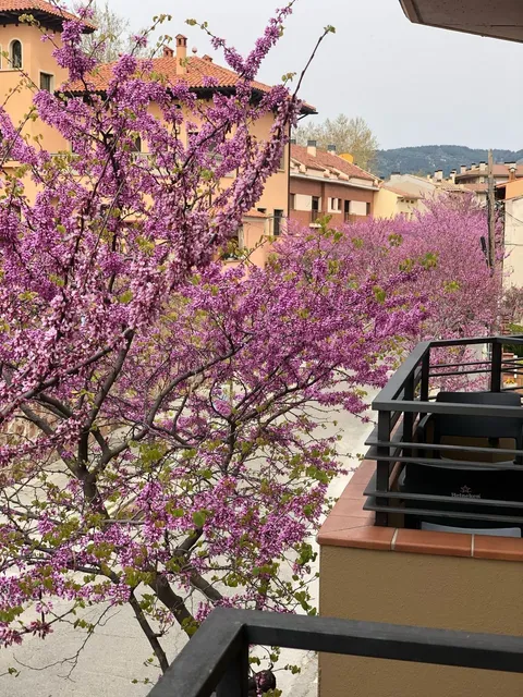 Pis de 40 m² a Sant Hilari Sacalm