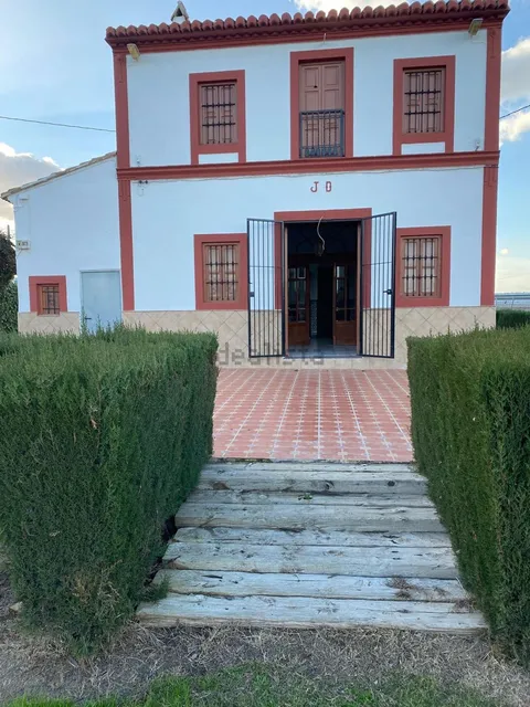 Stanza in affitto, Valencia