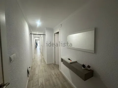 Habitació de lloguer, Elx