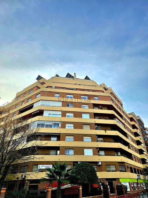 Habitació de lloguer, Sevilla