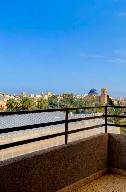 Zimmer zur Miete, Elx / Elche