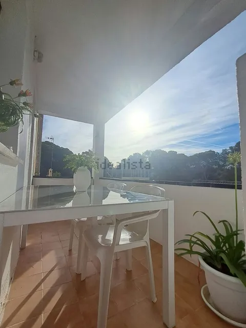 Habitació de lloguer, Palma