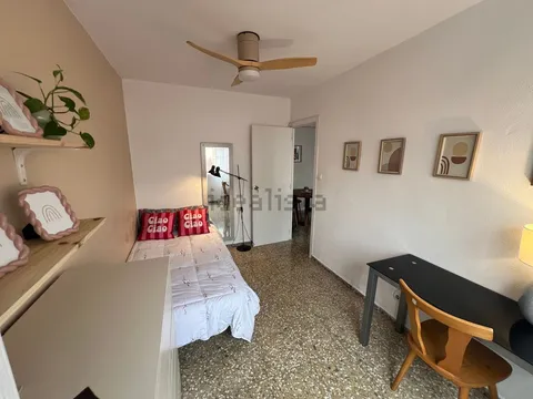 Stanza in affitto, Alacant / Alicante