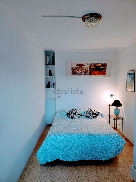 Stanza in affitto, Palma