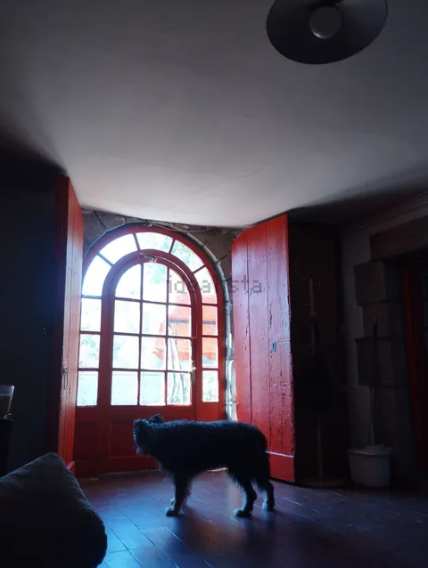 Chambre à louer, Dosrius