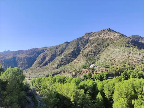 Habitació de lloguer, Álora