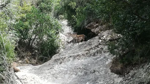 Habitació de lloguer, Cabrera d'Anoia