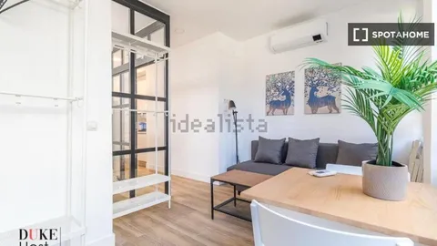 Appartamento 30 m² a Madrid