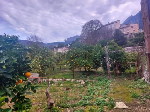 Haus 61 m² in Fornalutx