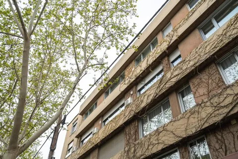 Chambre à louer, Madrid