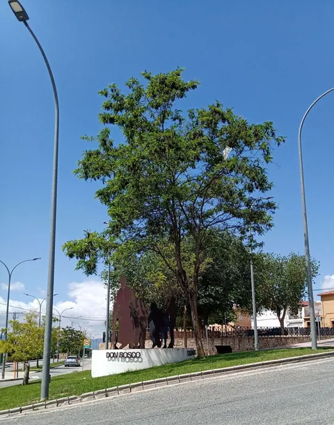Wohnung 90 m² in Ibi