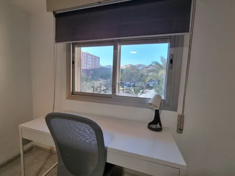 Habitación en alquiler, Alicante (3/19)