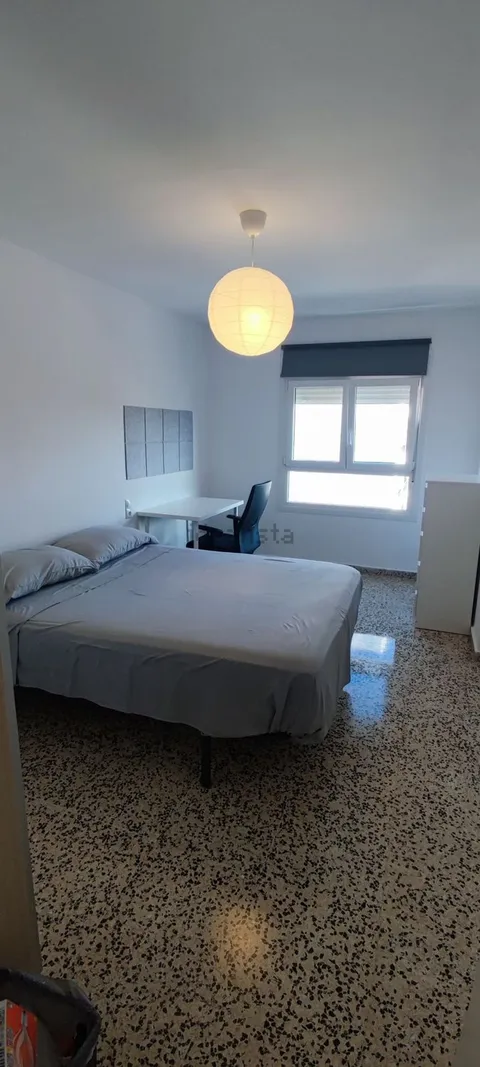 Stanza in affitto, Palma