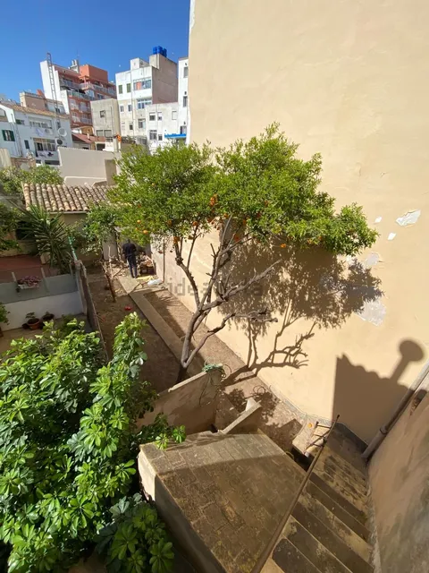 Habitació de lloguer, Palma