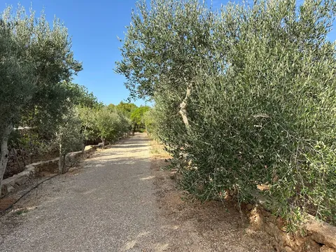 Pis de 614 m² a Sencelles