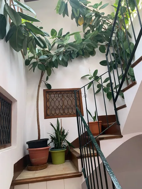Pis de 92 m² a Palma