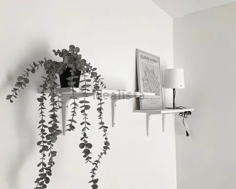 Habitació de lloguer, Calataiud