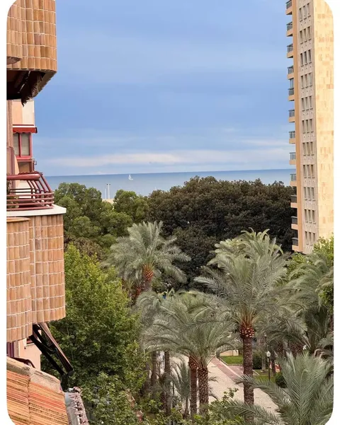 Habitació de lloguer, Alacant