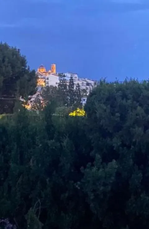 Maison 200 m² à Altea (3/22)