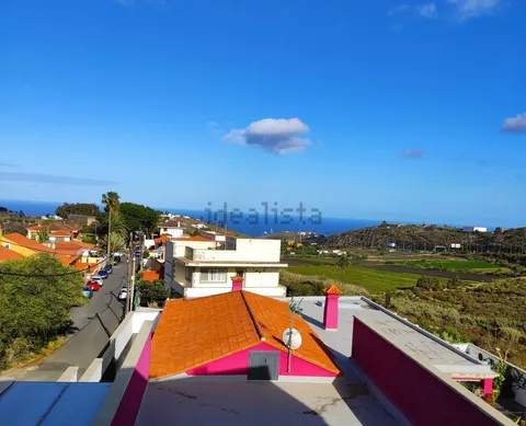 Habitació de lloguer, Las Palmas de Gran Canaria