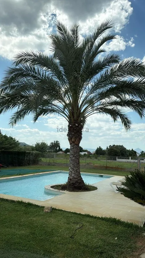 Casa 230 m² a Oliva (3/5)