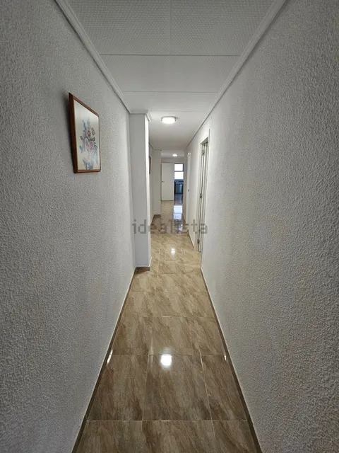 Habitació de lloguer, Elx