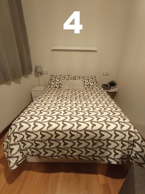 Habitació de lloguer, Lleó