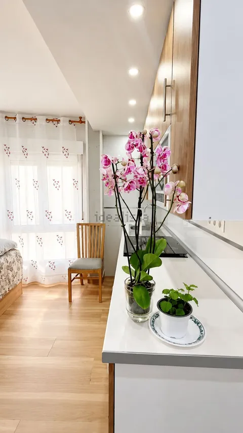 Wohnung 20 m² in Madrid (2/17)