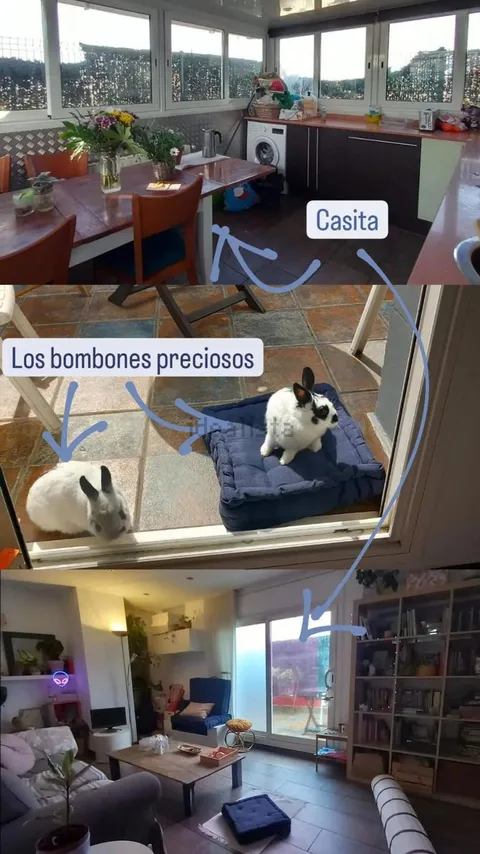 Habitació de lloguer, Barcelona