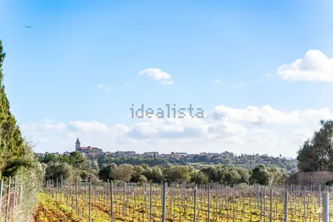 Pis de 350 m² a Sencelles