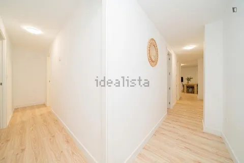 Habitació de lloguer, Elx