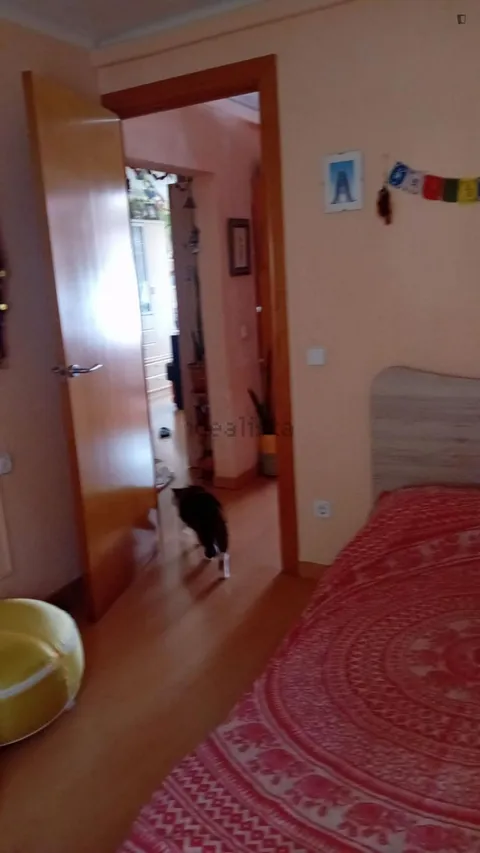 Habitació de lloguer, Barcelona