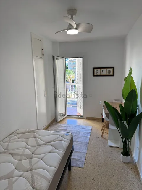 Habitació de lloguer, Palma