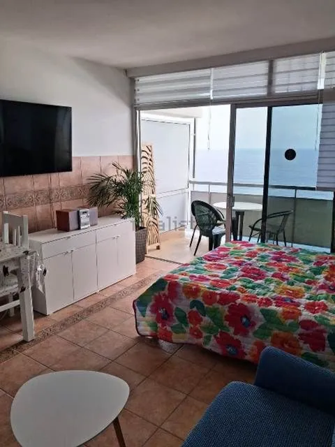Pis de 36 m² a Puerto de la Cruz (4/9)