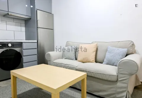 Appartamento 30 m² a Madrid