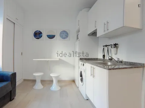 Flat 25 m² in Madrid (2/15)