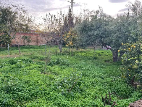 Casa de 300 m² a Alaquàs