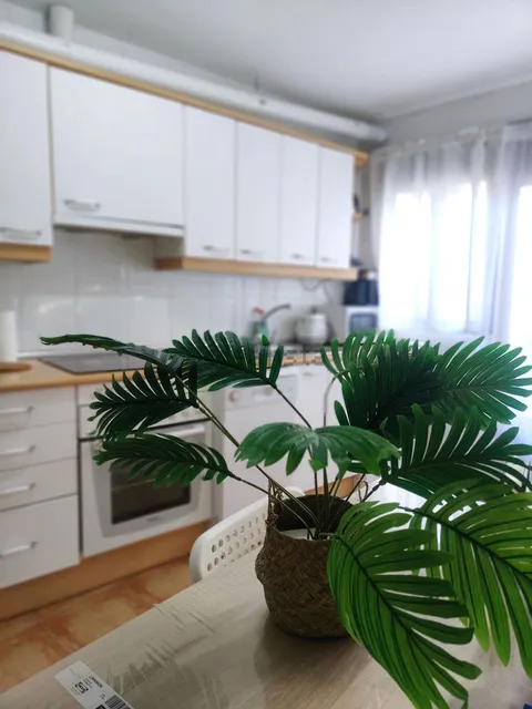 Habitació de lloguer, Guadalajara