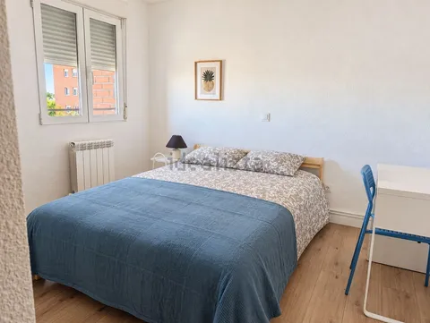 Stanza in affitto, Madrid