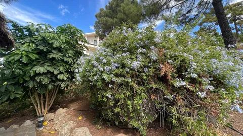 Pis de 155 m² a Estepona
