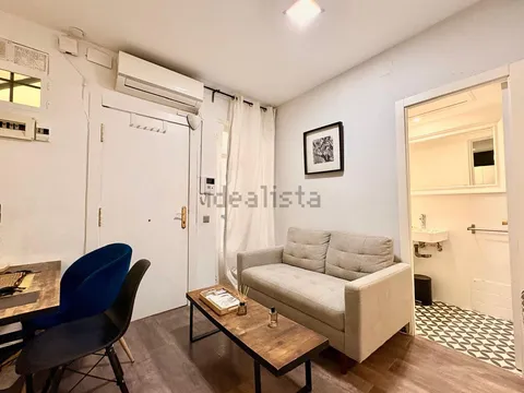 Flat 36 m² in Madrid (3/19)
